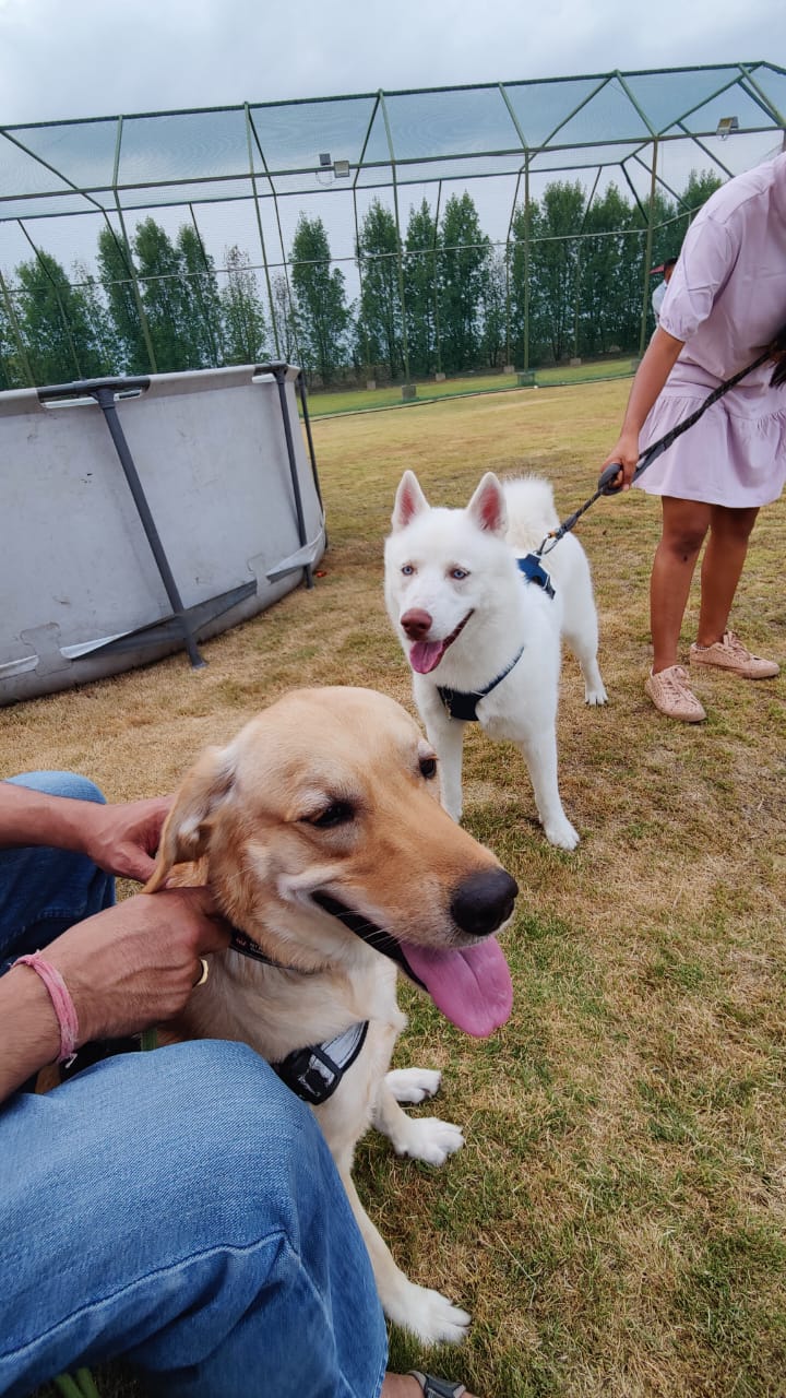 Furventures - Pet Adventures & Events - Photo 46